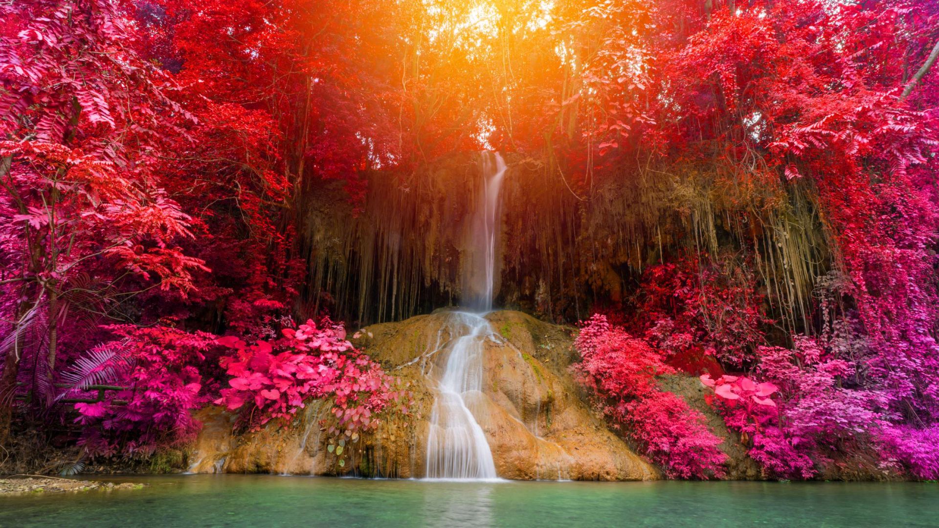 wp-content/uploads/2026/05/theparadiseofthisworld-intro.jpg
